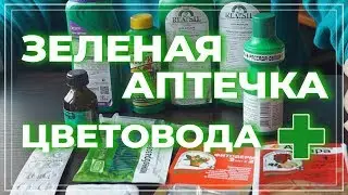 Аптечка цветовода. Скорая помощь для растений