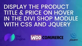 Display the Product Title & Price in the Divi WooCommerce Shop Module with CSS & jQuery