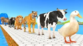 Paint Animals Duck,Cow,Tiger,Lion,Buffalo,Gorilla,Dinosaur,Elephant Fountain Crossing Animal Game Ne