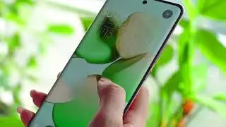 World Beautiful Phone Xiaomi Civi