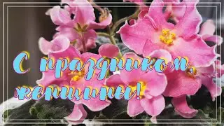 С 8 марта, дорогие женщины! Показываю свои цветущие фиалки.