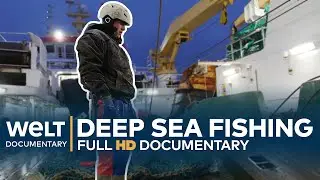 DEEP SEA FISHING - Hard Work On The High Seas | Full Documentary