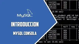 MYSQL Consola –  Comandos básicos – Video 58