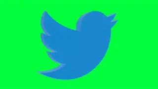 Twitter Green Screen Logo Loop Chroma Animation