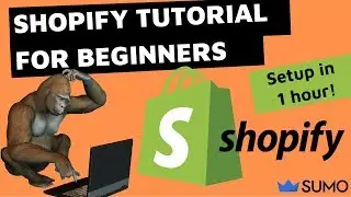 Shopify Tutorial For Beginners 2019 (How To Create A Swoon-worthy Shopify Store In 1 Hour)