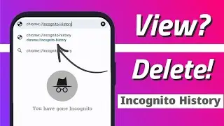 How to View/Delete Incognito Mode History on Android