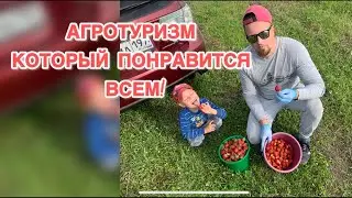 Агротуризм, который понравится всем! #агротуризм #клубника #сильково