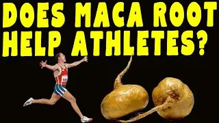 Maca Root Benefits: What You Need to Know