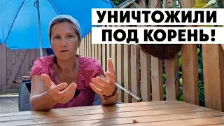 Одним ударом топора снесли за кружку ягоды😡 Уничтожение природы 18 августа 2023