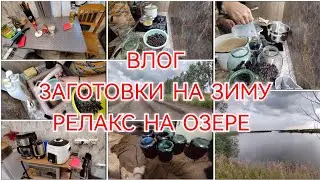 ЗАГОТОВКА КОМПОТА НА ЗИМУ / ОТЛИЧНО ХРАНИТСЯ В ТЕПЛЕ /СКОЛЬКО ДОБАВЛЯЮ САХАРА / РЕЛАКС С ОЗЕРА...