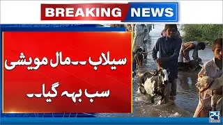 Flood Devastation In Dadu - Breaking News - 24 News HD