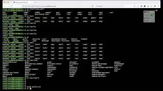 Linux Basic CLI Usage - File management