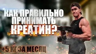 Как ПРАВИЛЬНО Принимать КРЕАТИН? | Тренировки C Креатином На Массу