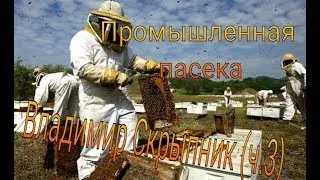 Скрыпник Владимир (часть 3). 