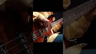 Amazing Bass Groove on Bacchus WL-434 RW I Bassist 김해찬