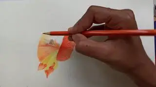 Slow colouring layer by layer Gladiolus flower drawing | How to draw gladiolus flower #3