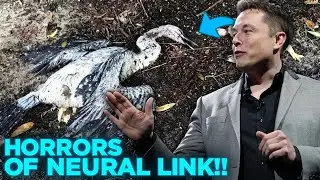 The Horrors of Elon Musk's Neural Link