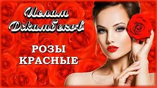 Ислам Джамбеков - Розы красные | Шансон Юга