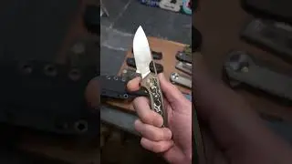 Incoming from Gecko Customz 