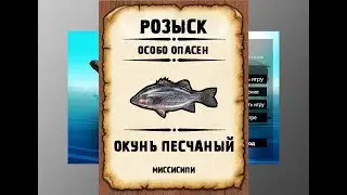 Мутанты рр3. Окунь песчаный рр3. Миссисипи.