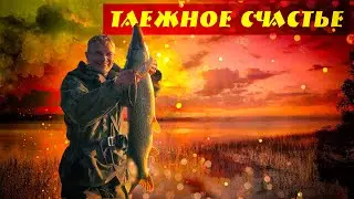 Таежное счастье 3 сезон, 7 серия, Поймал царь щуку!