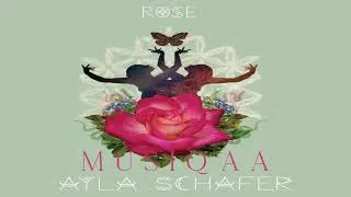 Ayla Schafer ⋄ Rose