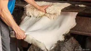 Leather Tanning Process