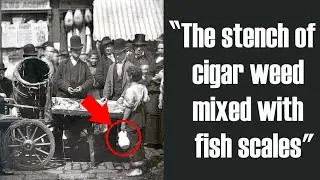 Why did Victorians love Cheap Stinky Fish? (Feeding the Poor in St. Giles Slum)