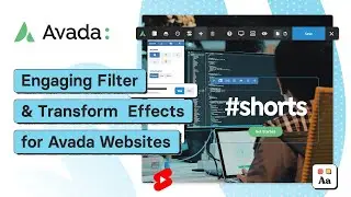 Engaging Filter and Transform  Effects for Avada Websites