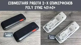 Демонстрируем работу в паре двух спикерфонов Poly Sync 40