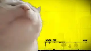 Levan Polkka funny cat vibing to Cyberpunk 2077 style music - KMB - 2077