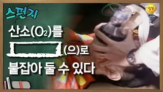 산소를 [      ]으로 붙잡아 둘 수 있다.  [스펀지 레전드] | KBS 051008 방송