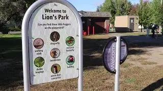 Lions Park - Clearwater, MN - Visit a Playground - Landscape Structures