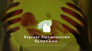 Программы ведения беременности