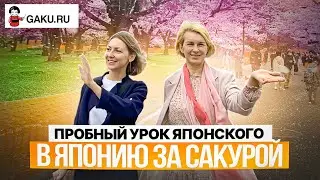 Обучение в Японии. Пробный урок на тему 