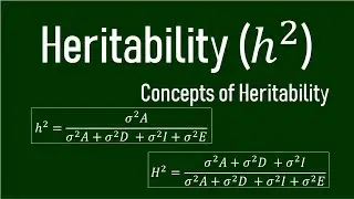 Heritability and its Types | Broad Sense Heritability | Narrow Sense Heritability