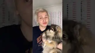 ЗАКРЫЛ СОБАКУ НА БАЛКОНЕ НА 24 ЧАСА😭‼️ Inst:sever1off 