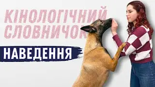 Як Навчити Собаку Новим Командам і Трюкам?! | Кінологічний Словничок: Наведення