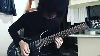 vildhjarta den helige anden guitar cover