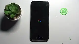 Cómo restablecer Google Pixel 9 Pro XL a su estado de fábrica