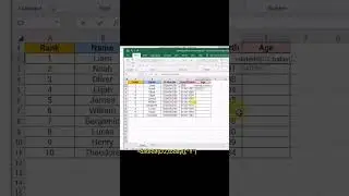 Age Calculation From Age Date | Just One Click In Excel.  