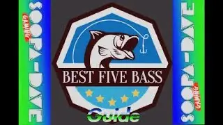 Fishing Planet Best Five Bass Competition Guide