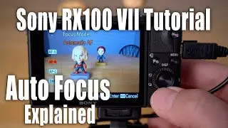 Sony RX100 VII Tutorial - Auto Focus Explained