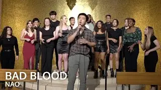 Bad Blood (NAO) - Nocturnal A Cappella