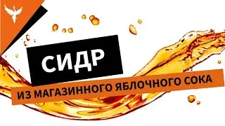 Простой рецепт вкусного яблочного сидра из магазинного сока