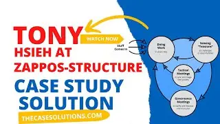 Tony Hsieh at Zappos-Structure Case Study Solution