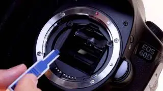 Canon EOS 60D Tutorial - Interchangeable Focus Screens 14/14