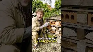 How to build a wildlife mansion with Jamie (@Nettlesandpetals) 🐝🦔🪵#DIYtips #Howto #BandQ