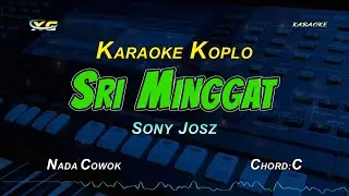 SRI MINGGAT KARAOKE KOPLO NADA COWOK - SONY JOSZ