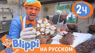 Блиппи на шоколадной фабрике | Изучай этот мир вместе с Блиппи | Blippi Russian